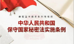 保密视频,探寻未知领域的秘密与奥秘